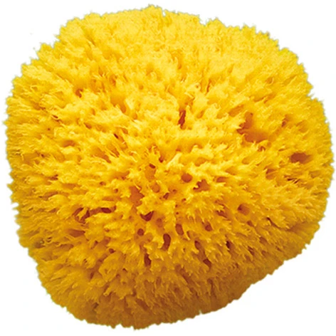 Eponge Naturelle Honeycomb T12 De OK Baby 3 Eponge Naturelle Honeycomb T12 De OK Baby